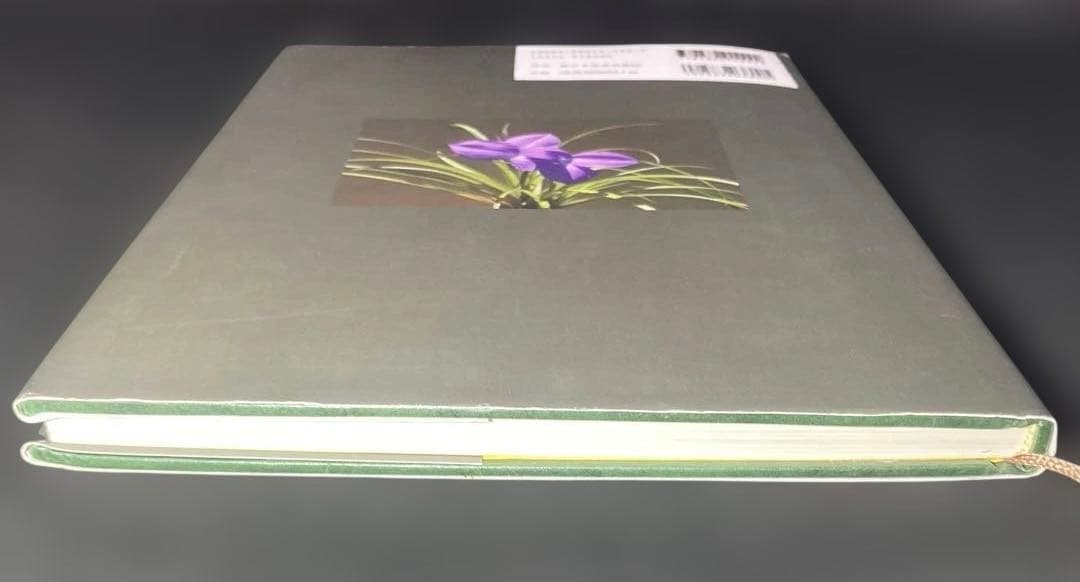 ティランジア・ハンドブック 改訂版 清水秀男 滝沢弘之 カバー付