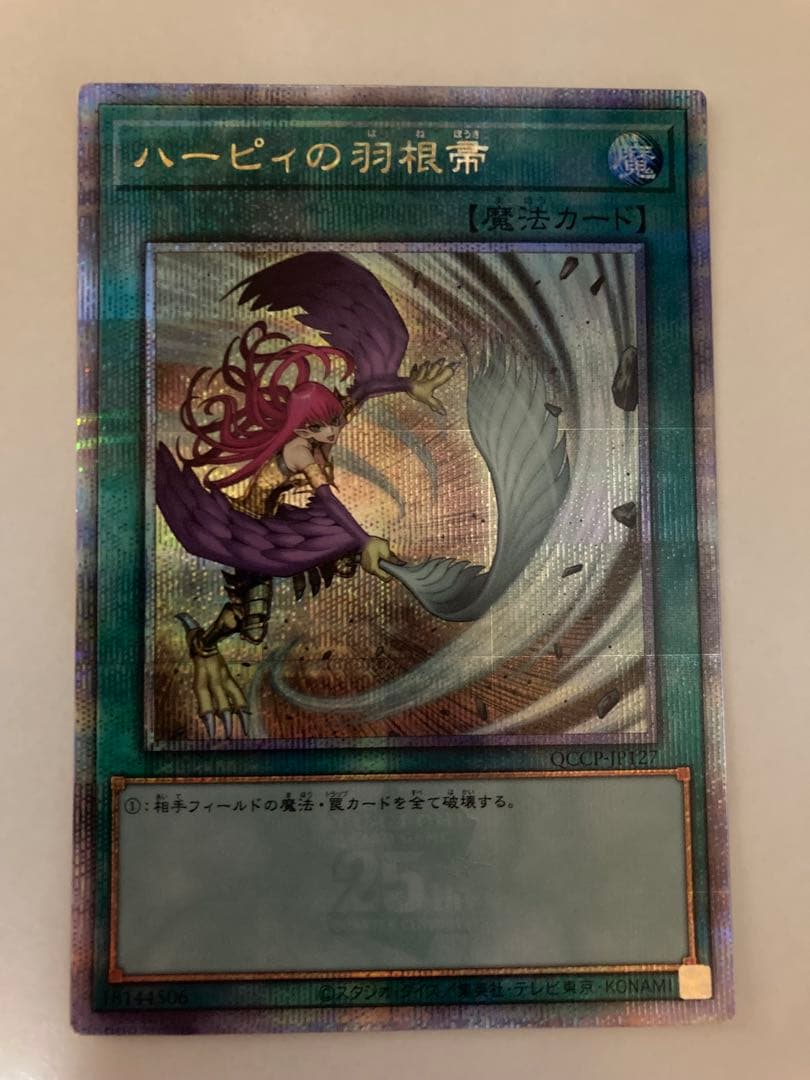 ハーピィの羽根帚 絵違い　25th