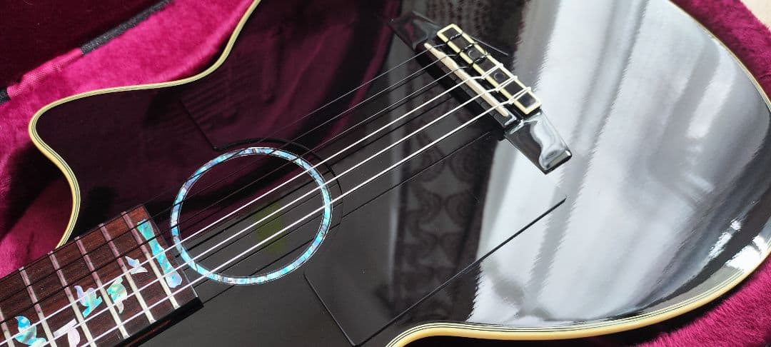 Crafter アコースティックギター ブラック セミハードケース付き