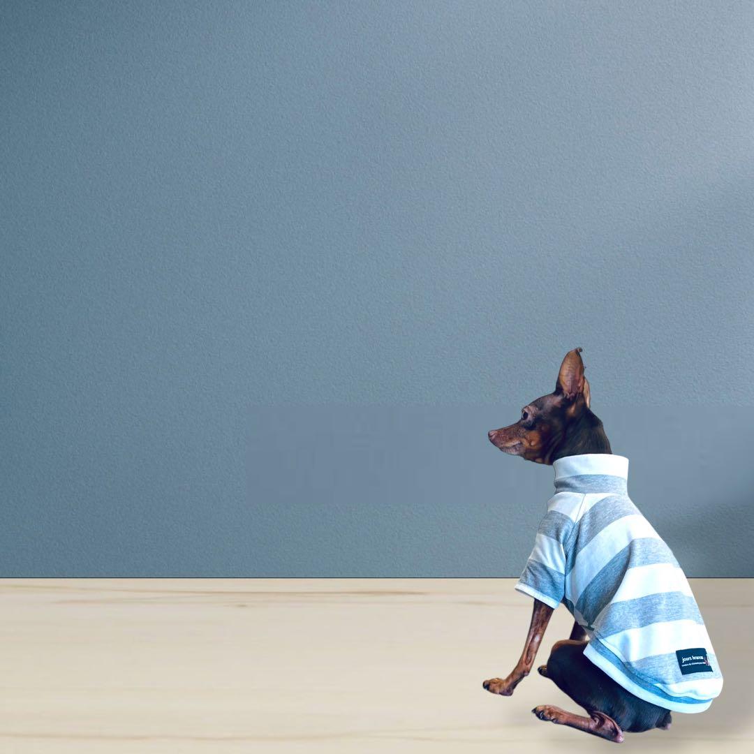 ⑱ボーダーショートスリーブ