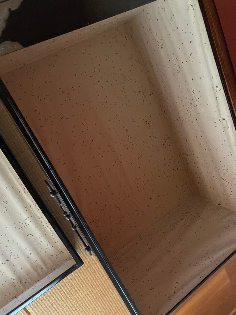 真鍮・銅の挟み箱　衣裳箱　黒色　お値下げ