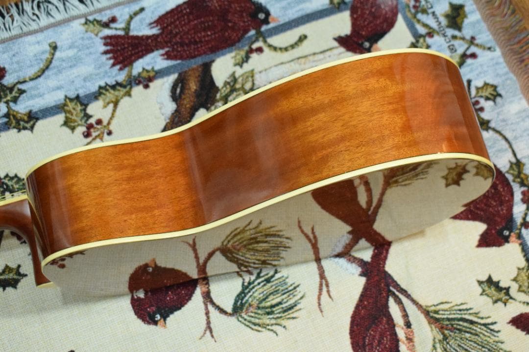 YAMAHA ヤマハ FS720S TBS ケース付き アコギ