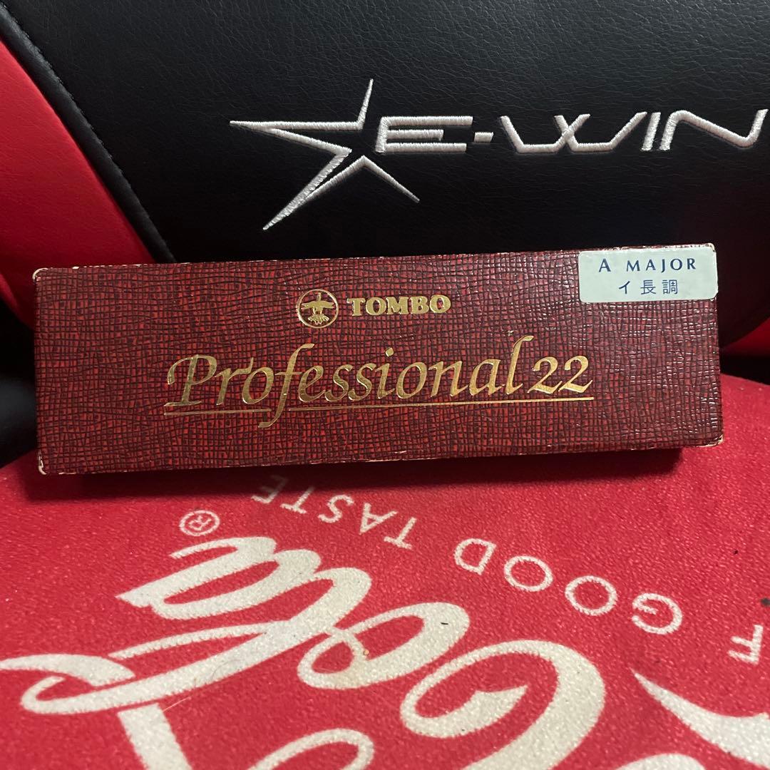 TOMBO Professional 22 A Major ハーモニカ