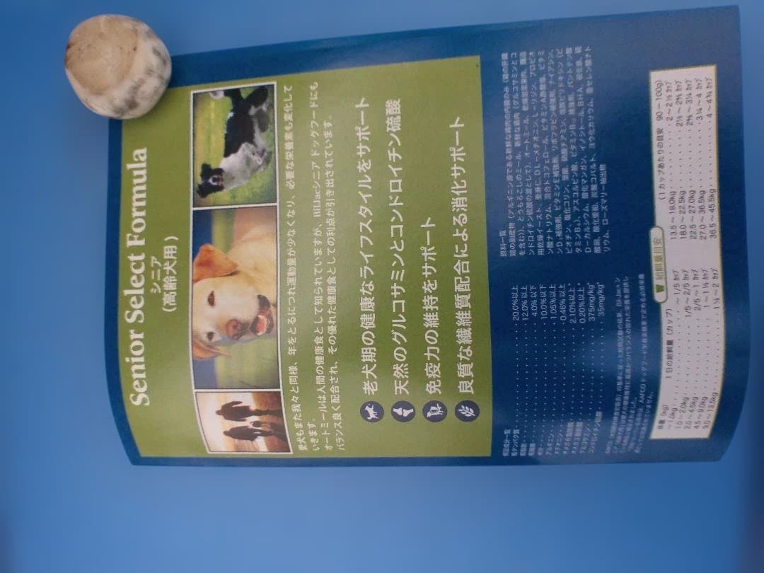 6.8キロビルジャックシニア期限２６年８月Bil-Jac Senior