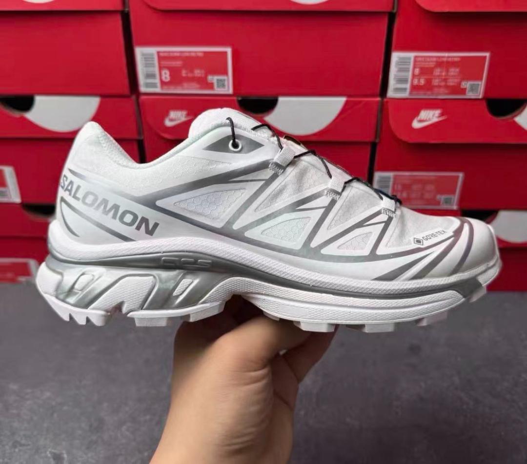 SalomonXT-6 2.0 EXPANSE アロイグレー