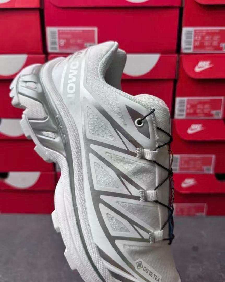 SalomonXT-6 2.0 EXPANSE アロイグレー