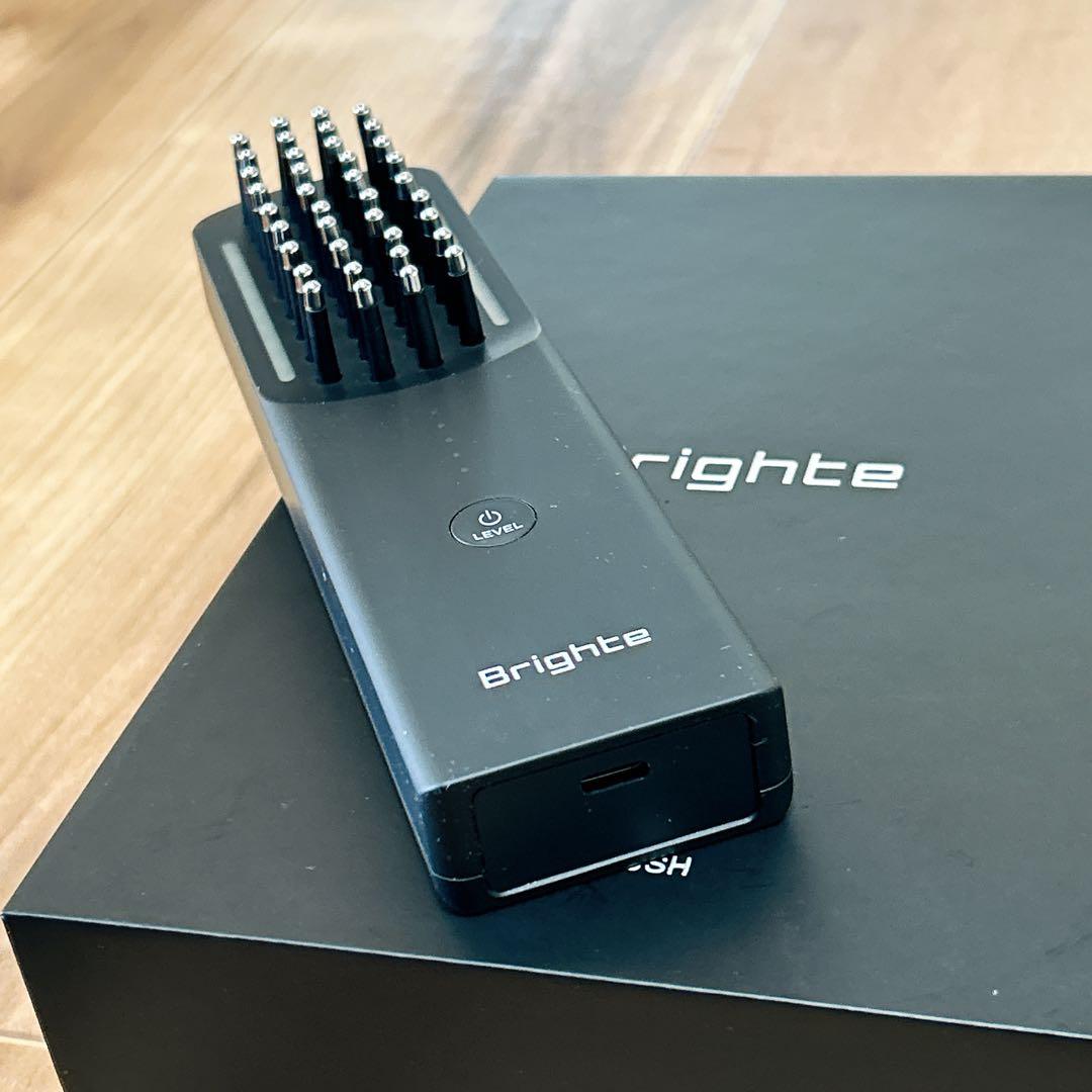 Brighte BRTFS145 BRT-FS145 ブラシ型美顔器