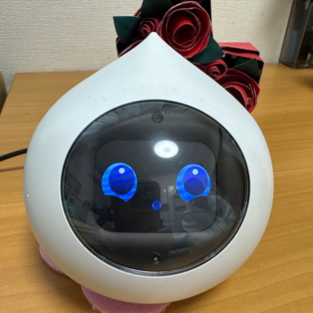 Romi ロミィ 会話AIロボット ROMI-02