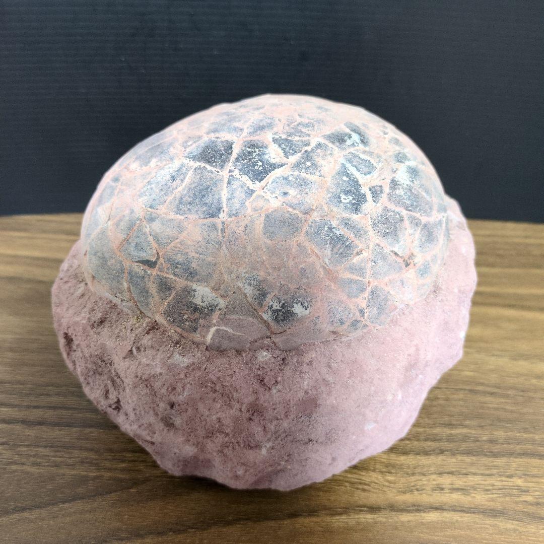 (貴重)　恐竜ハドロサウルスの卵化石　中国　補修あり