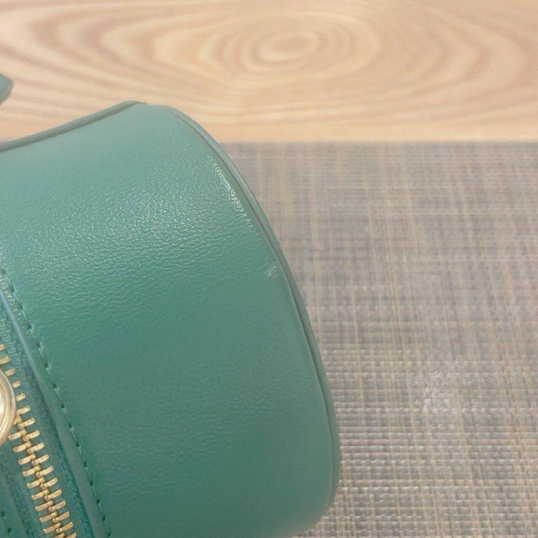 ミセスグリーンアップル ペンライトケース ライトスティックケース グリーン