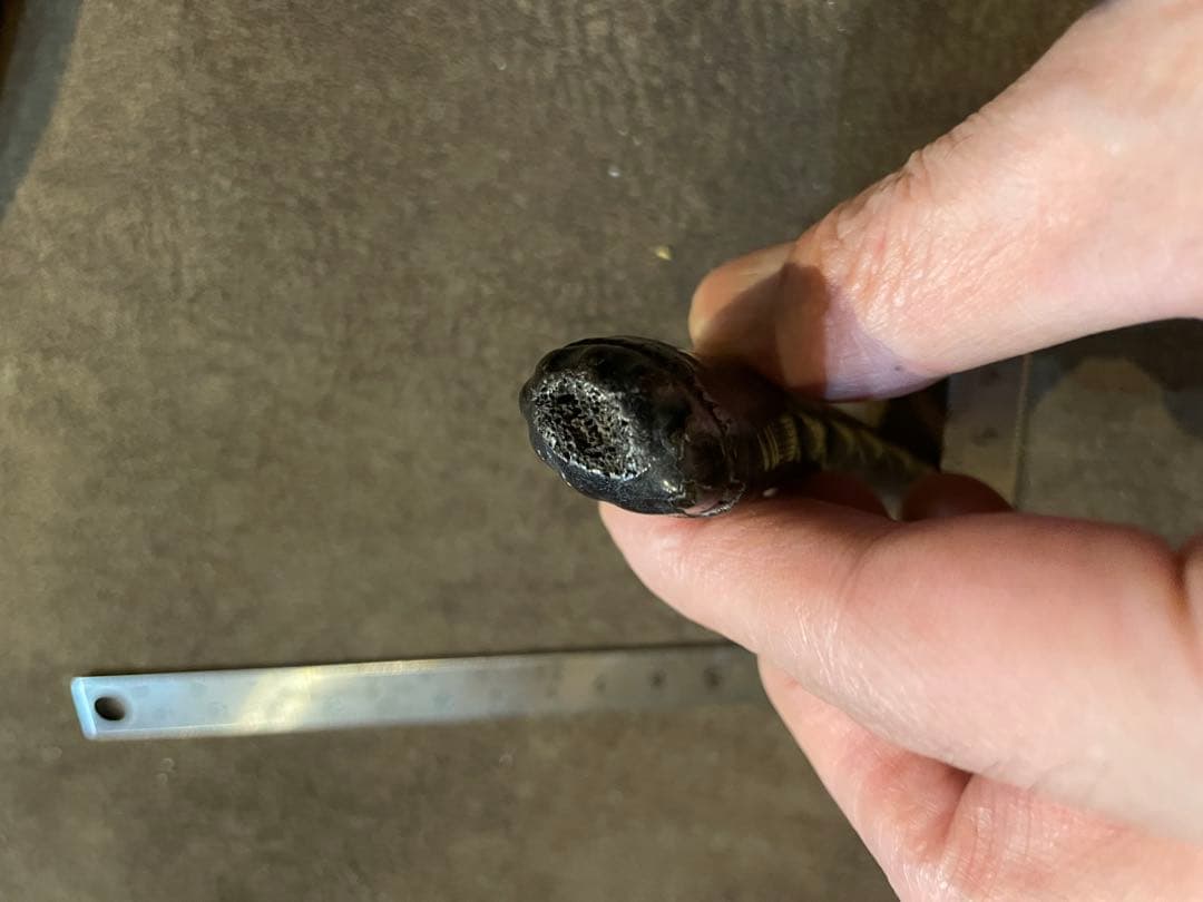 根付 筍 骨 牙等天然素材 無銘