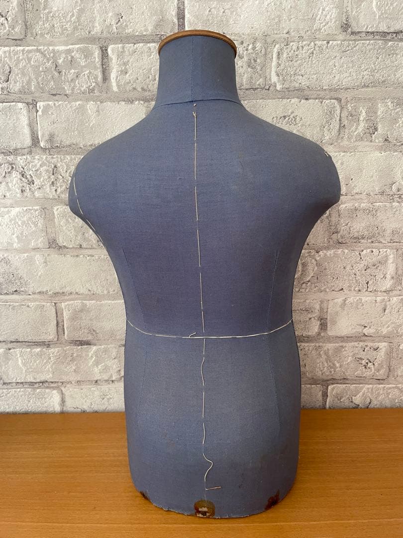 Cleo キッズトルソー