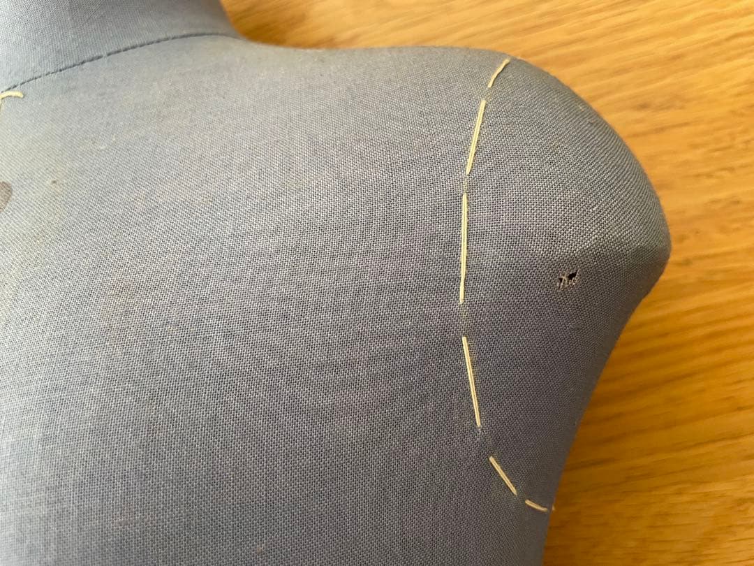 Cleo キッズトルソー