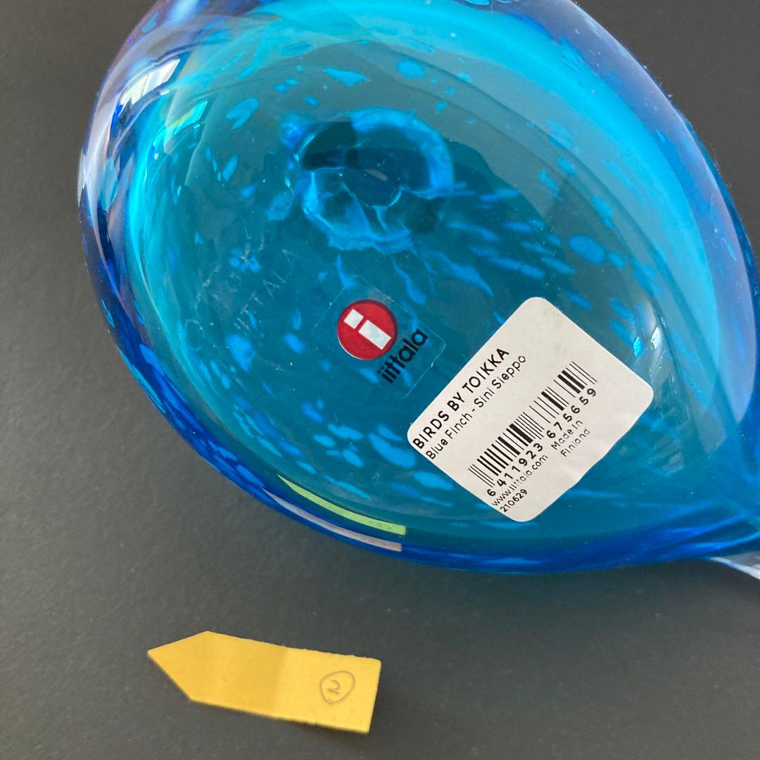 イッタラバード　ブルーフィンチ　blue finch ②