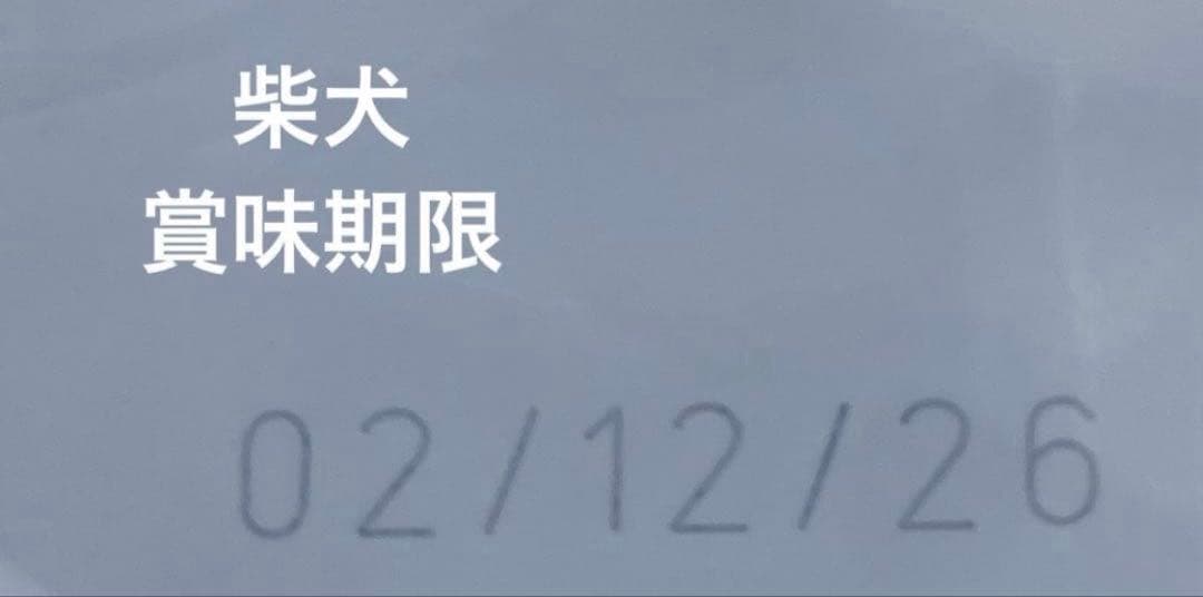  CANIN 柴犬成犬用8kg×2袋