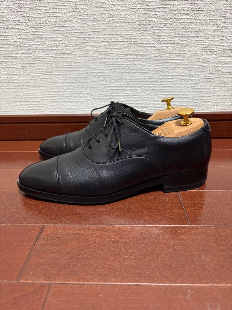 三陽山長【秀二/SHUJI】（シューツリー付）