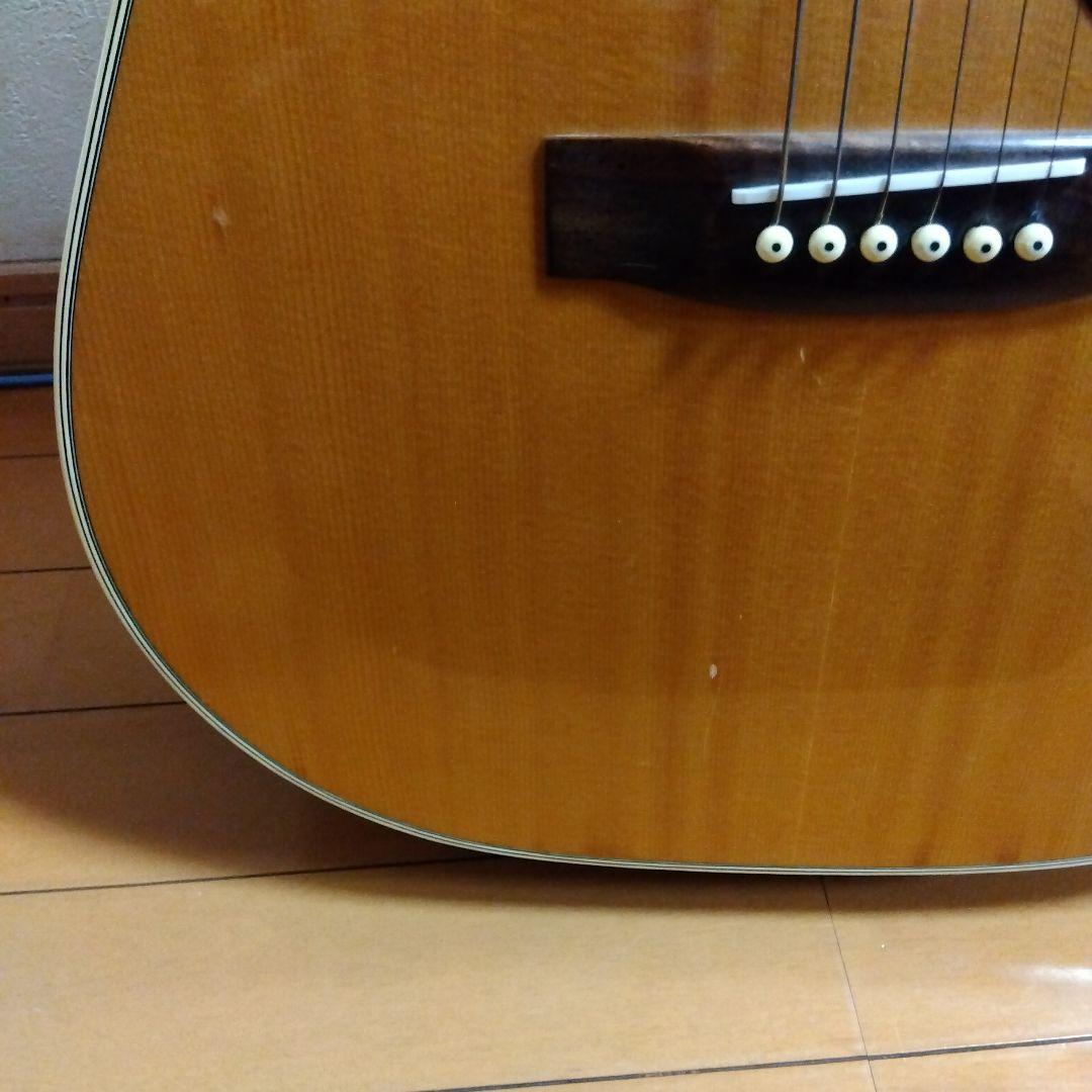 Morris W-18 アコースティックギター