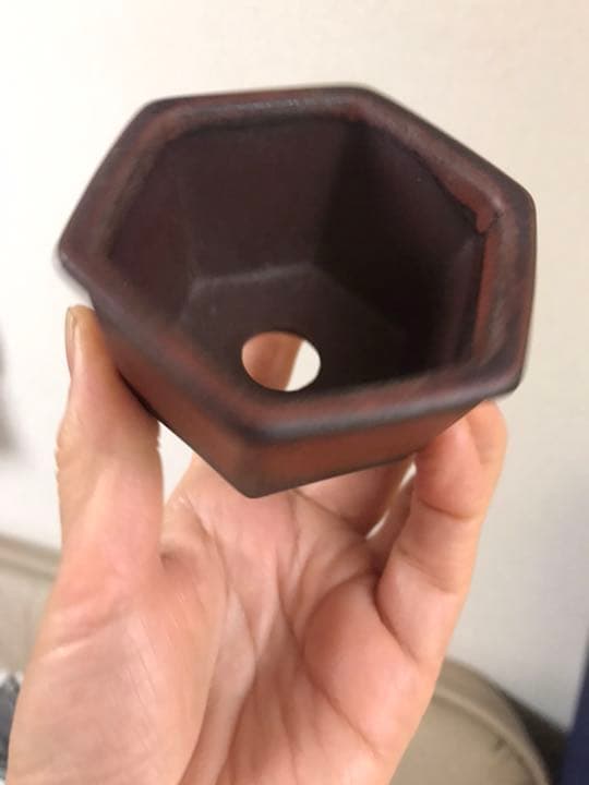 盆栽鉢　⑦2個時代常滑名工泥珠釉がけ朱泥上下鋲打/文山六角鉢ミニ盆栽山野草植木鉢