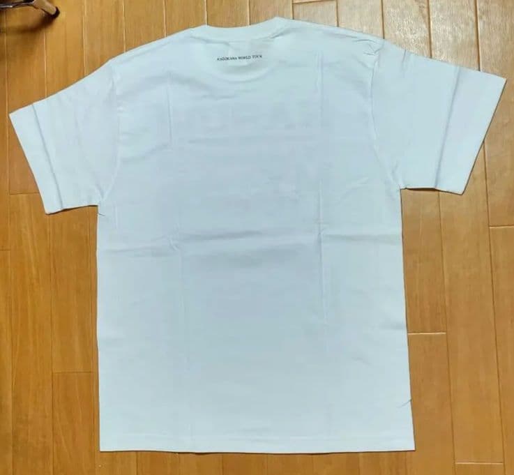 cospa Lサイズ 涼宮ハルヒの憂鬱　Tシャツ　アニメ　白　コスパ