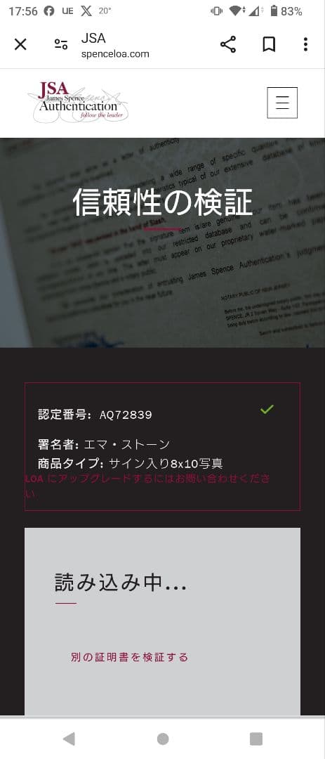 エマ・ストーン　サイン　オートグラフ　8×10インチ 　スパイダーマン