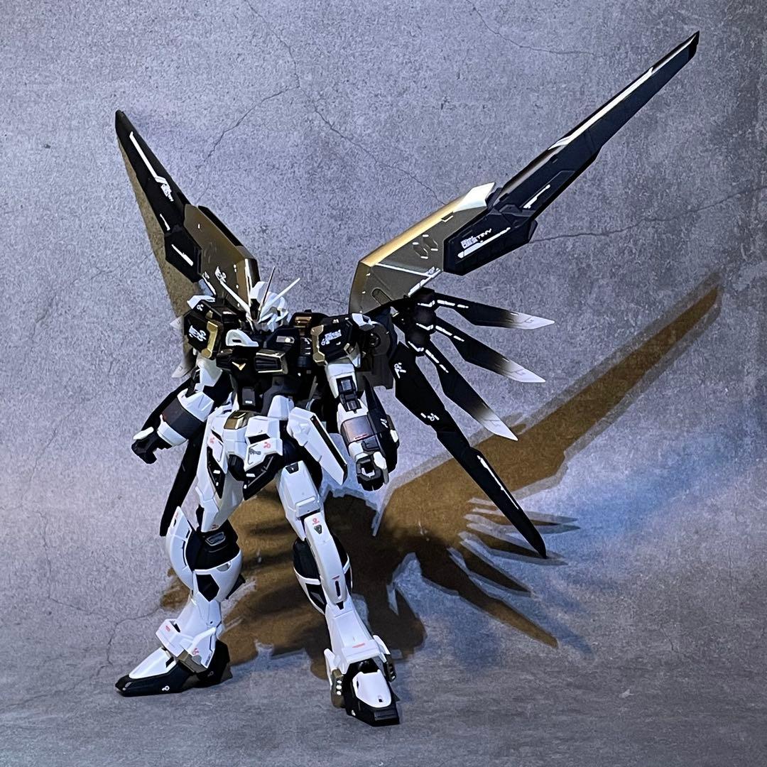 確認用 RG ディスティニーインパルスガンダム