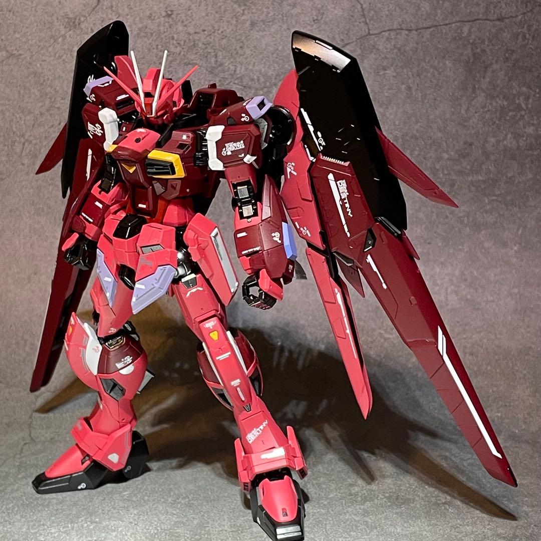 確認用 RG ディスティニーインパルスガンダム