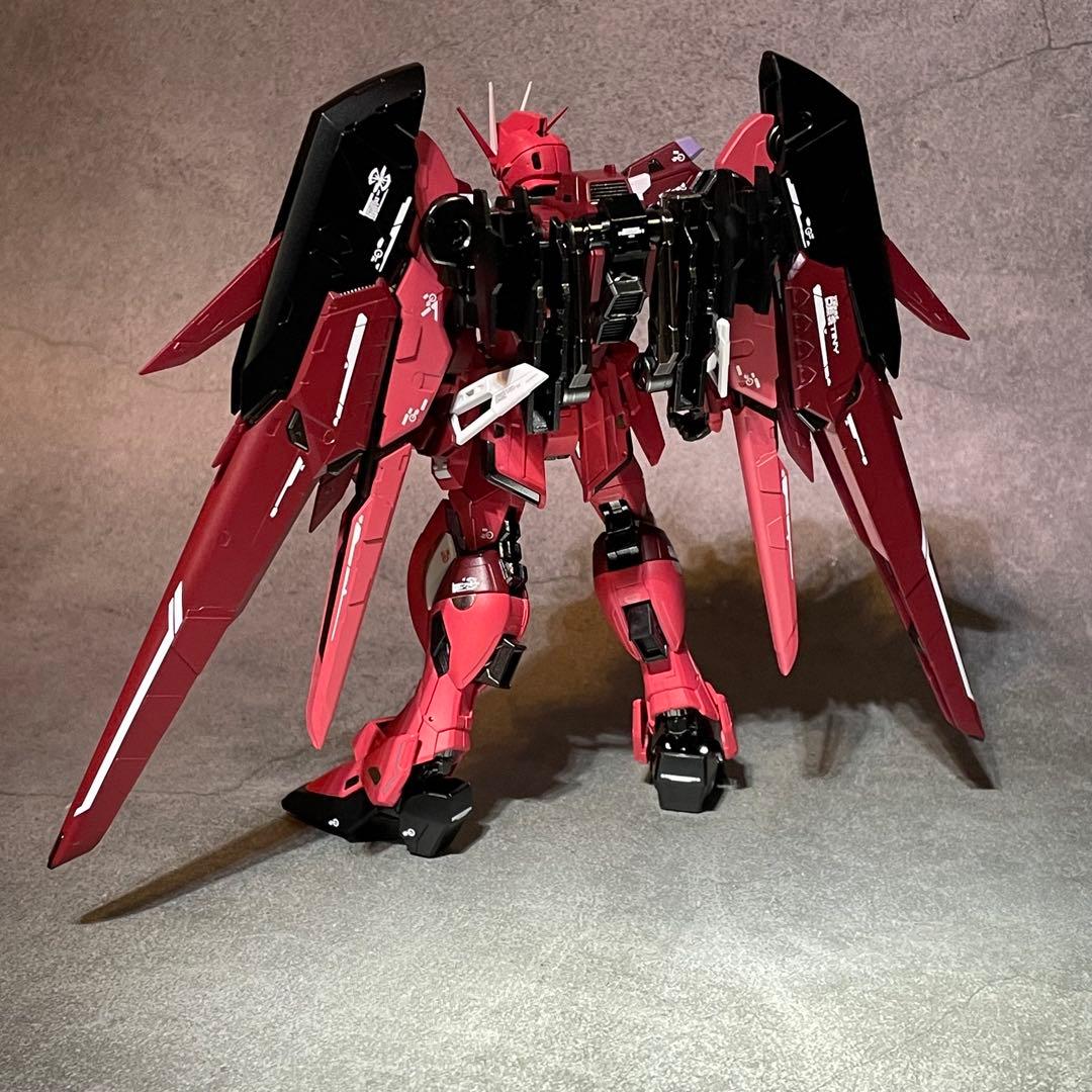 確認用 RG ディスティニーインパルスガンダム