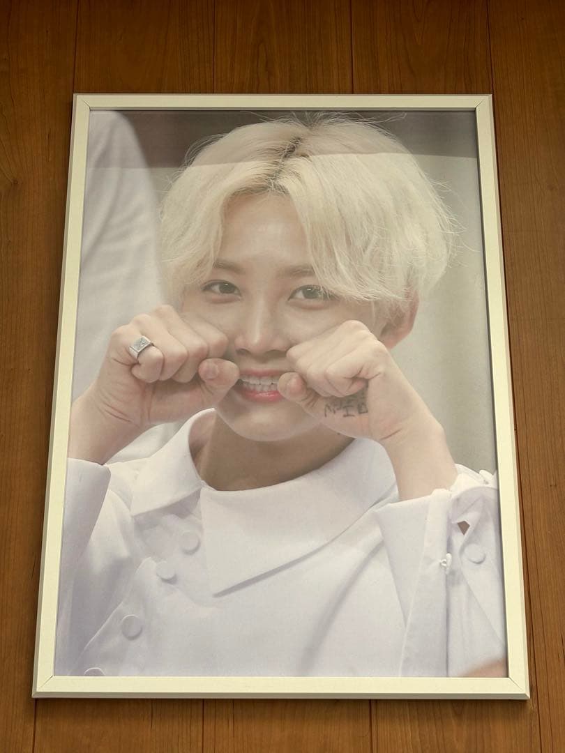 SEVENTEEN ジョンハン　パネル　マスタニム　マスター　NEW