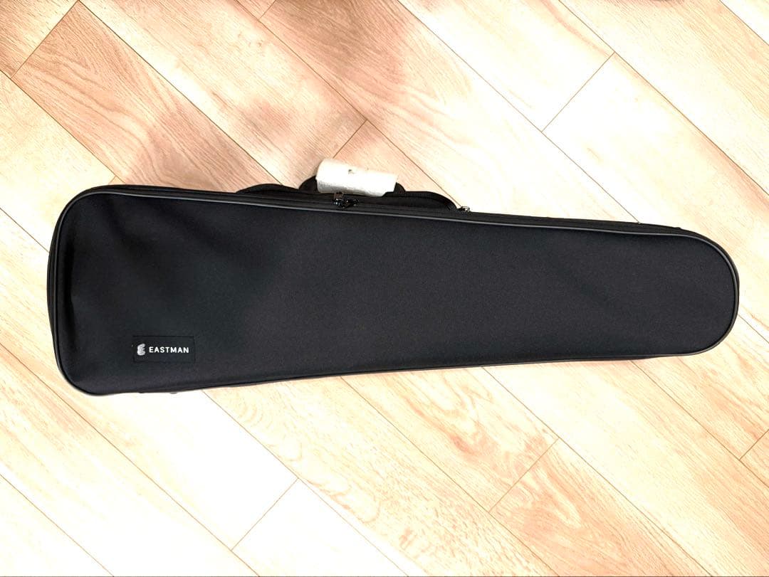 バイオリンケース プロテージ 4/4 Eastman (イーストマン)