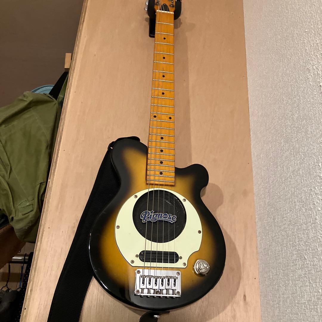 ピグノーズ PGG200 サンバースト