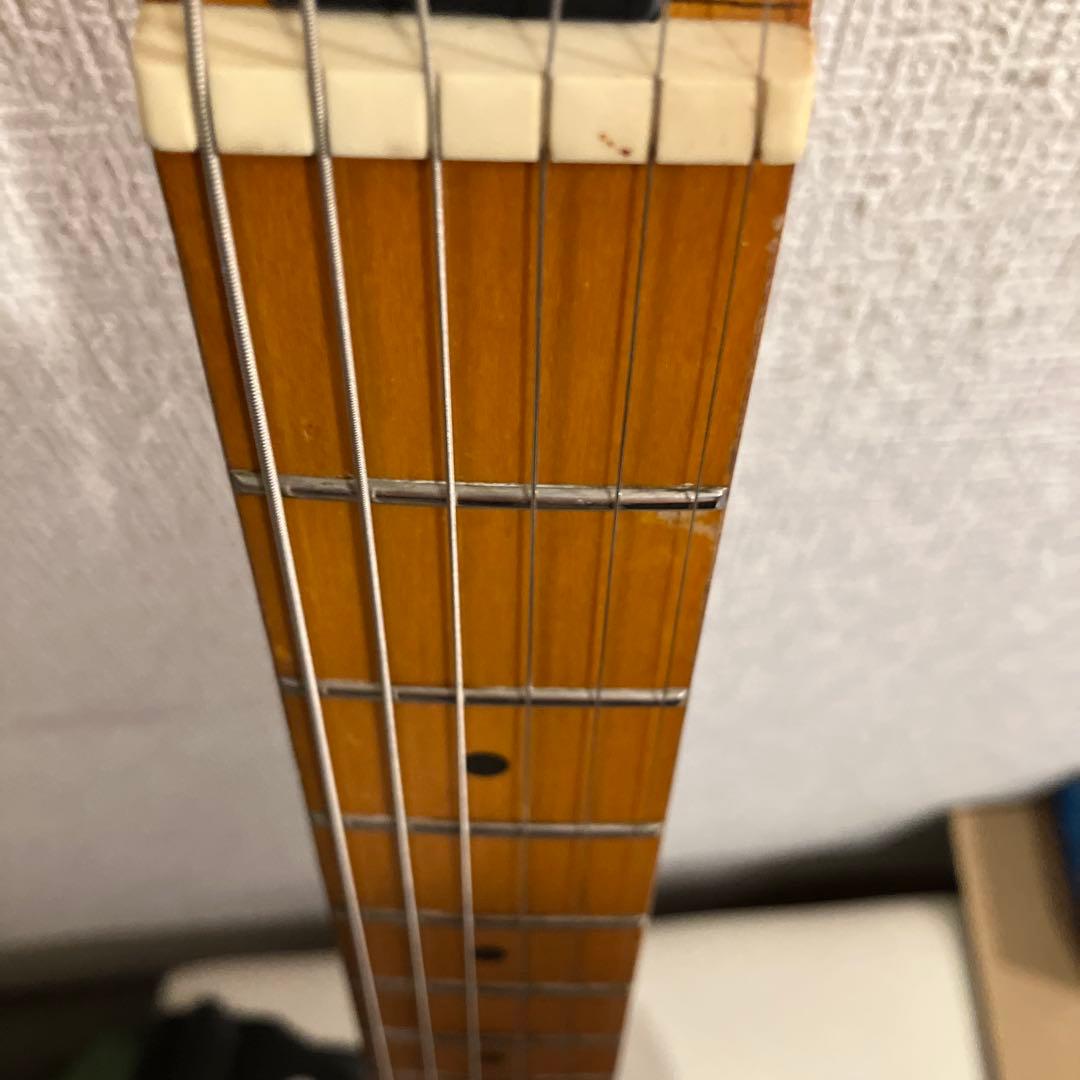 ピグノーズ PGG200 サンバースト