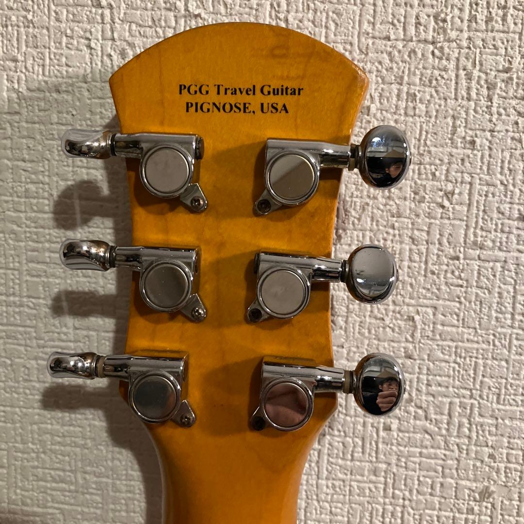 ピグノーズ PGG200 サンバースト