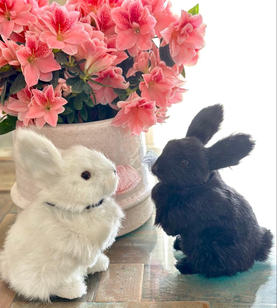 レア★うさぎ　ウサギ　ぬいぐるみ オブジェ 置き物　飾り　ラビット　雑貨