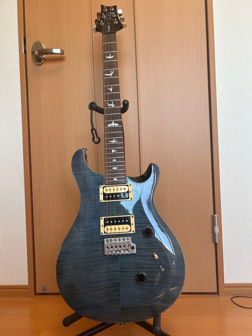 Paul Reed Smith Custom24 SE エレキギター