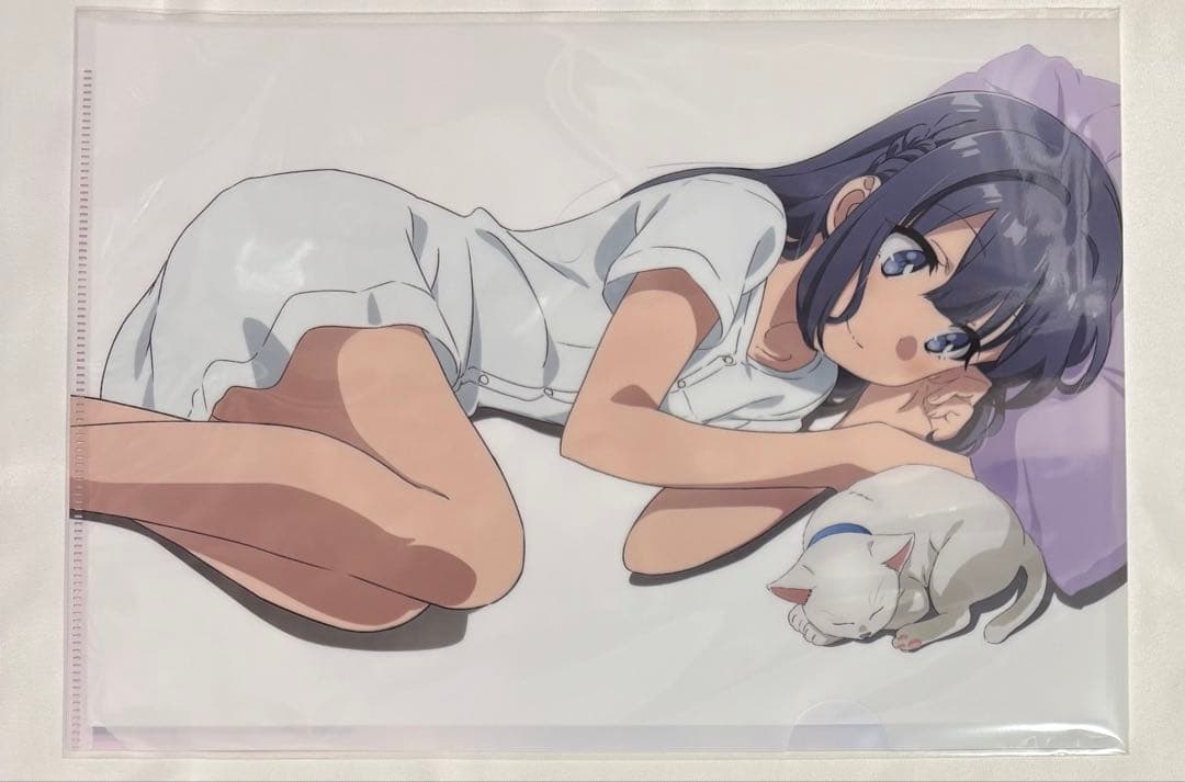 青春ブタ野郎　青ブタ　特典 クリアファイル　セット