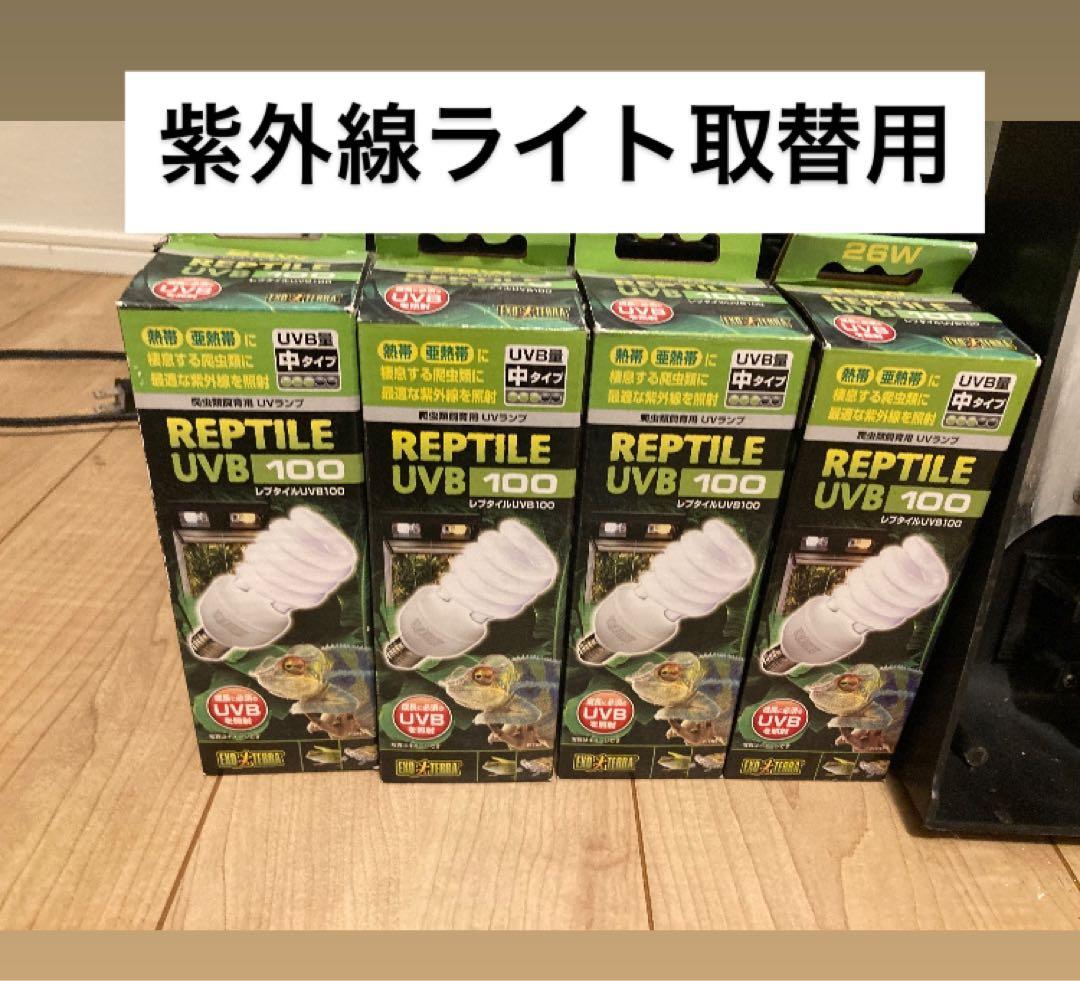 爬虫類飼育セット 90x45x60グラステラリウム 爬虫類ケージ GEX