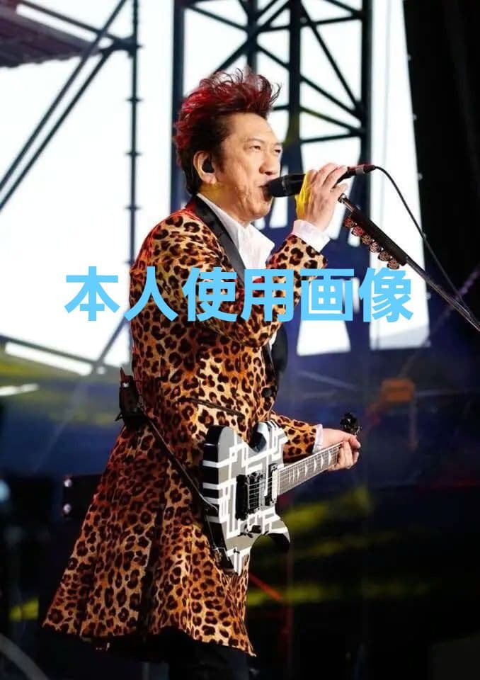 【良・美品】Gラインペイント/布袋・hideモデル。モッキンバードエレキギター。