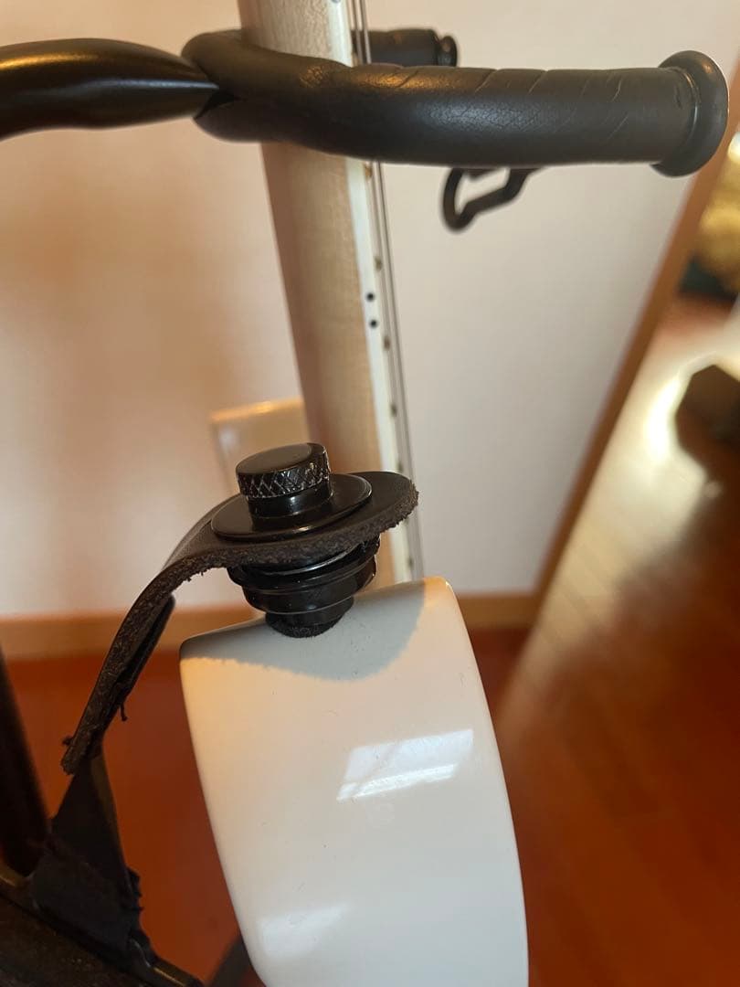 ギター Ibanez rg350