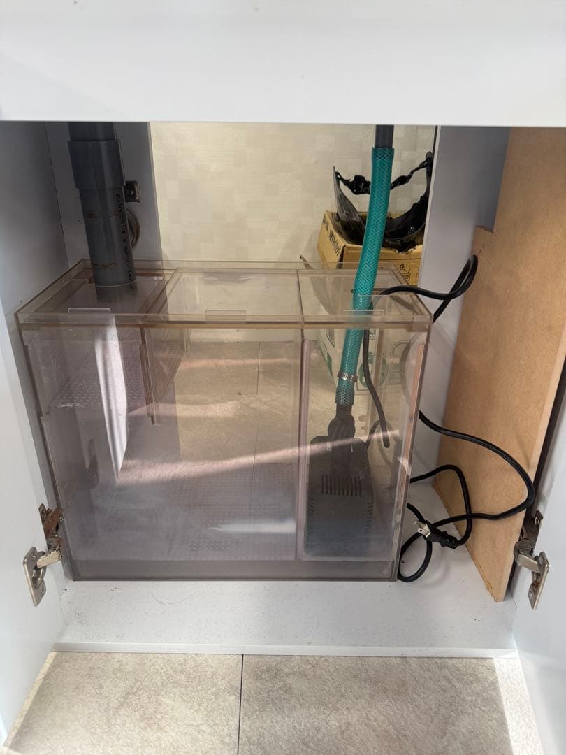 オーバーフロー水槽　ガラス水槽　60cm 海水魚