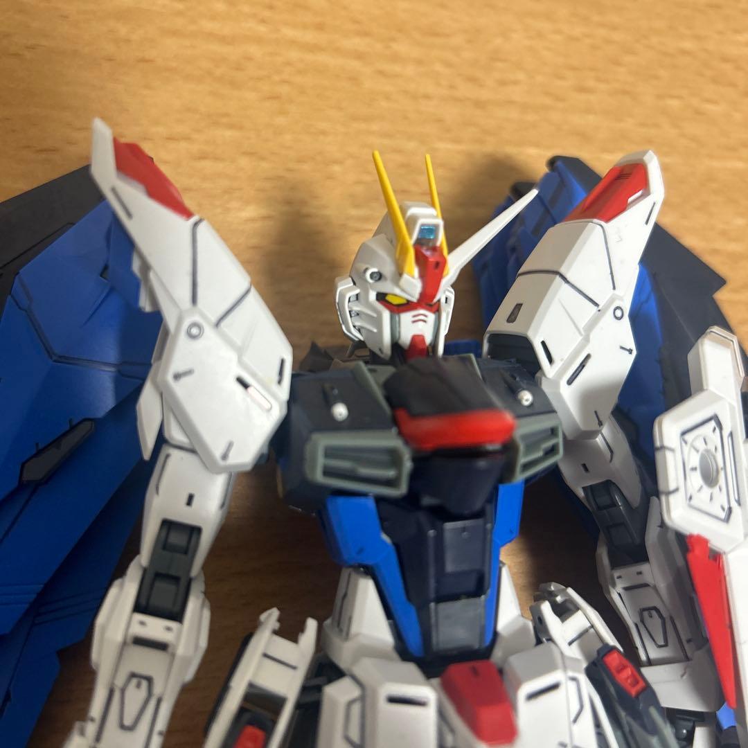MG フリーダムガンダム　ジャスティスガンダム