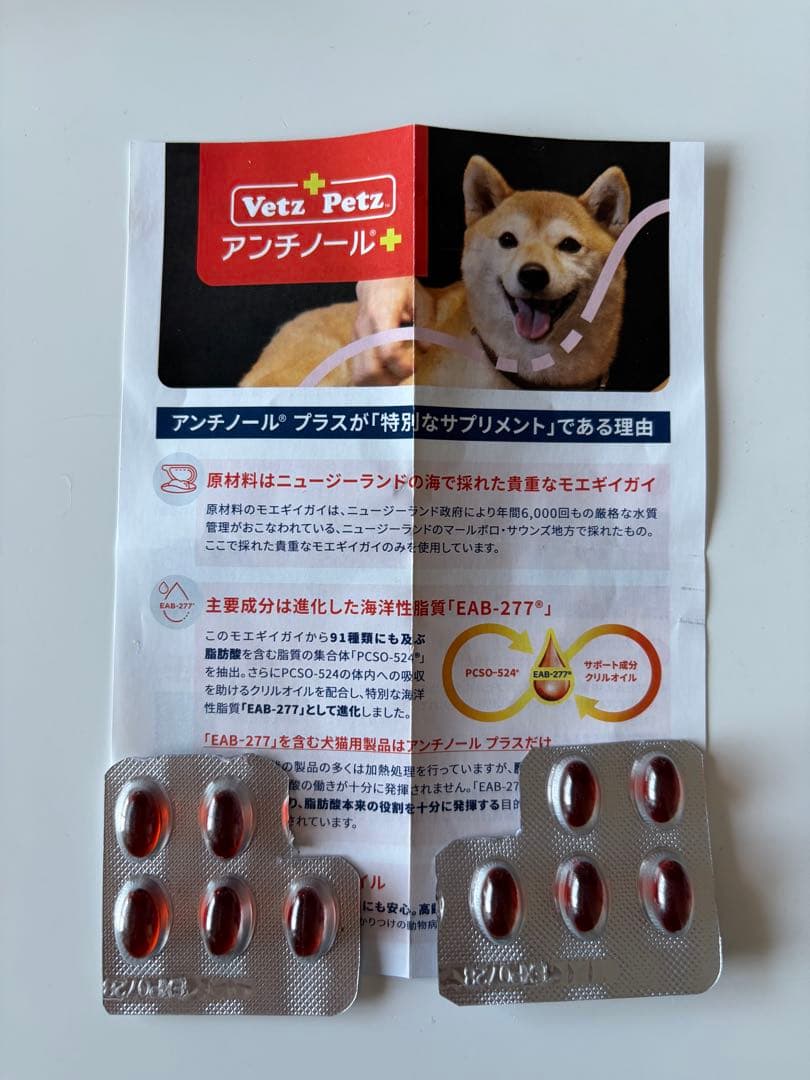 Vet'z Petz アンチノール 90粒