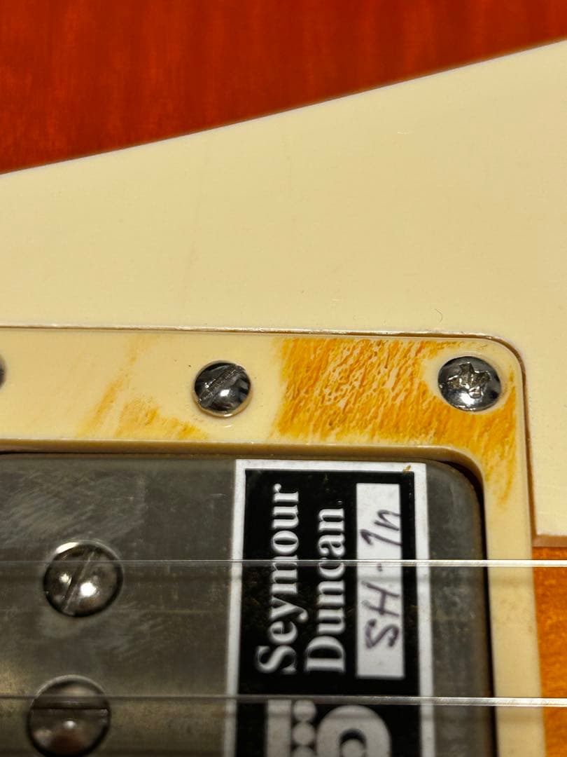 Edwards E-LP-90LTS 2005年　国産　ほぼデッドストック