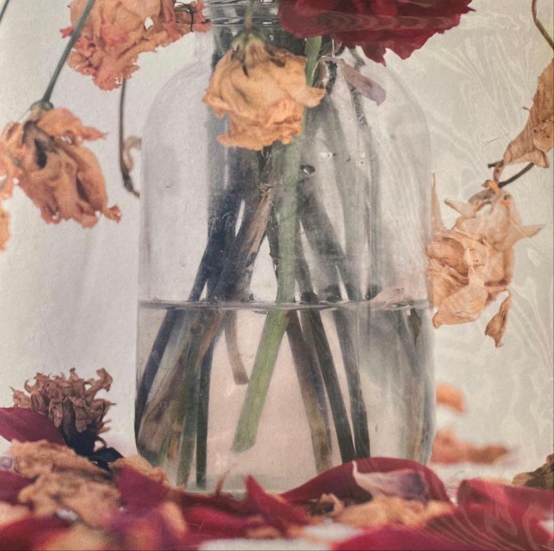 唾奇 Camellia LP (2 vinyl set)