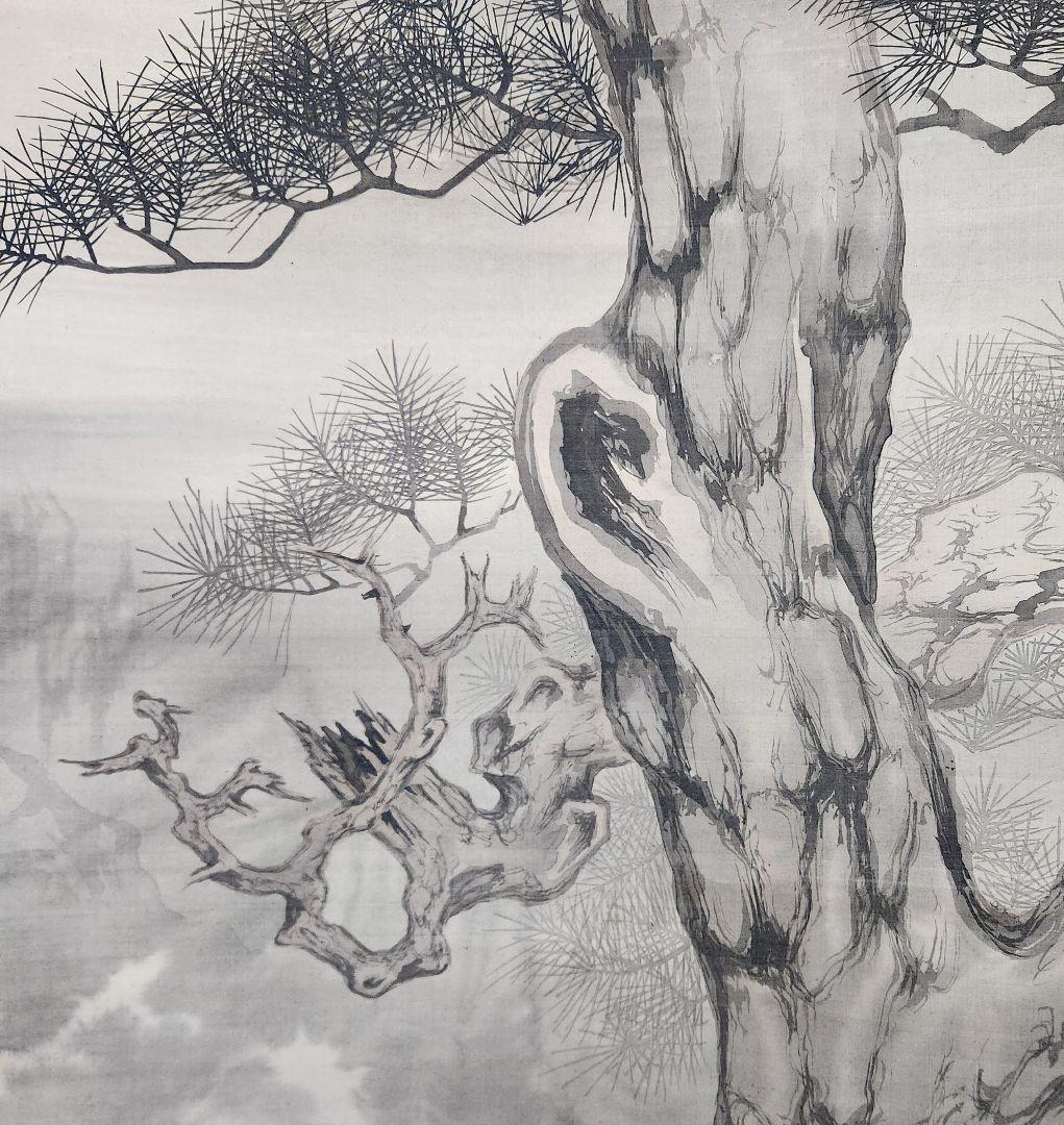 【老松に滝図】樗園　1007 掛け軸　肉筆　迫力　大幅