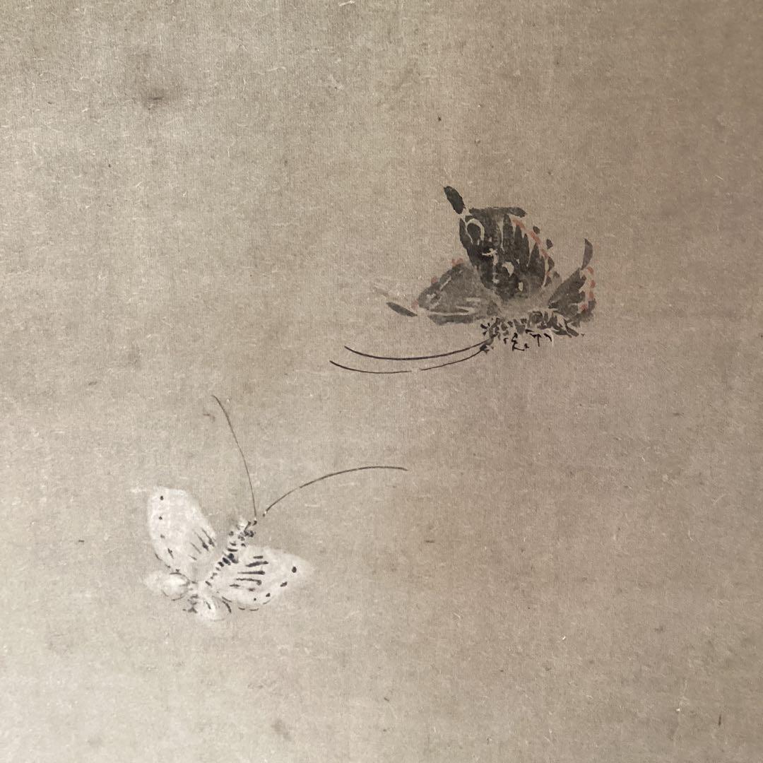 英　一蝶　　淡彩画　《　蝶に唐人図　掛軸一幅　》肉筆　鹿角　落款在　模写　237