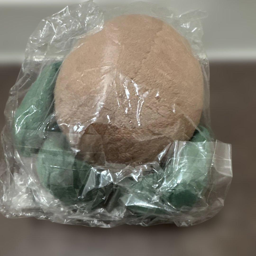 Zespri キウイ ブラザーズ　ぬいぐるみ 2個セット　新品