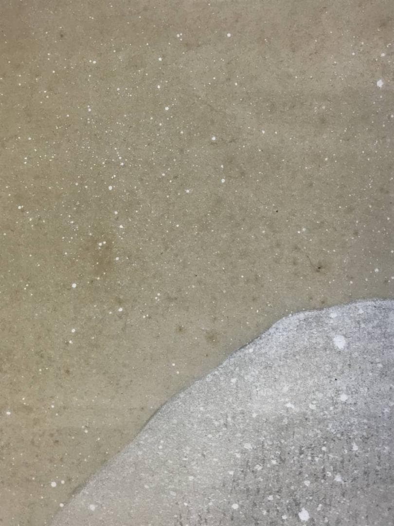 【真作】渡辺石華/秋冬山水図/対幅/京山水図/掛軸/名家伝来/AD-754