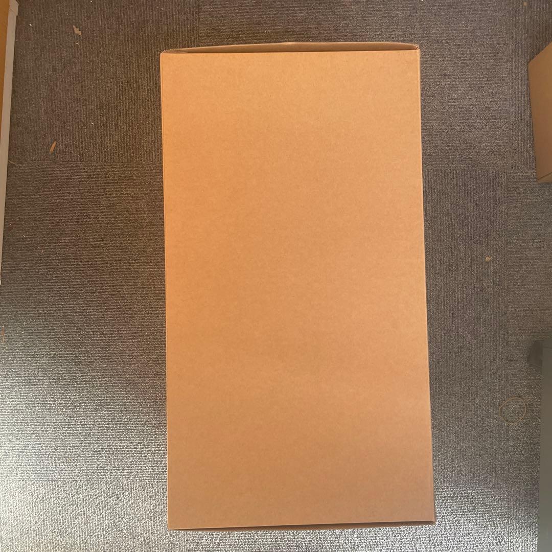 ゴジラ(2023) G-1.0 30cm 東宝30cmシリーズ　開封済み