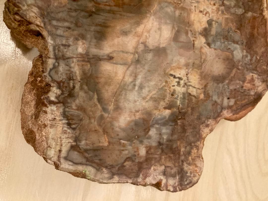 鑑賞石　ジオラマ