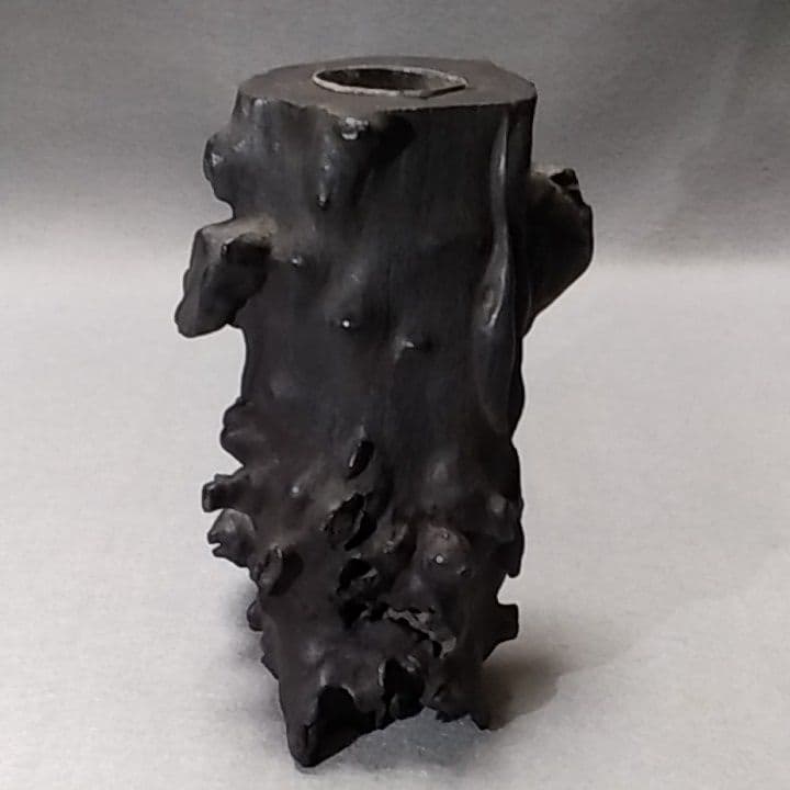 海松　深海松　黒珊瑚